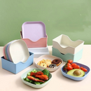 Conjunto 10 Pratos + Escorredor Plástico Reutilizável